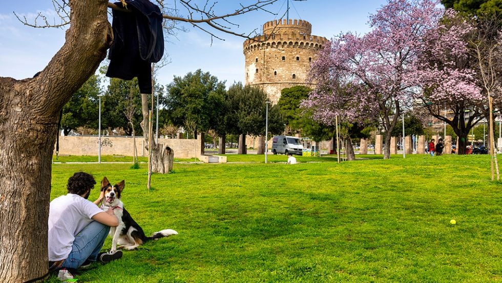 Εμβληματική η αντίσταση των καλλιτεχνών